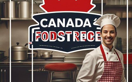 Canada Foodservice Market Analysis by Type, Material, End-User & Region 2025–2033