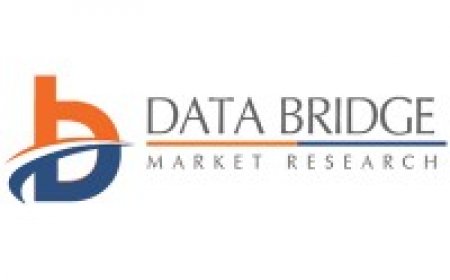 New Energy Vehicles Market Outlook: Growth, Share, Value, Size, and Trends