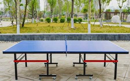 How do Esteemed Table Tennis Table Suppliers Operate?
