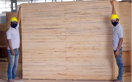 Understanding the Approaches of Top Plywood Yamunanagar Manufacturers