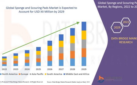 Sponge and Scouring Pads Market: Cleaning Up with Innovation and Sustainability