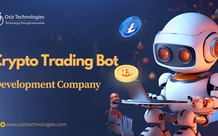 What Are the Key Steps in Developing a Crypto Trading Bot