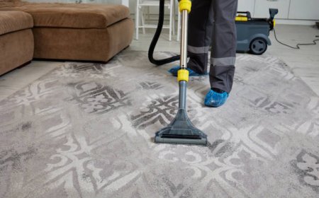 Why You Should Consider Professional Carpet Cleaning in Columbus, Georgia, USA for Your Home or Business