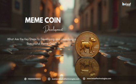 What Are the Key Steps to Developing and Launching a Successful Meme Coin?