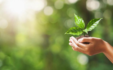 Why Eco-Friendly Blue Planet Sunglasses Are Changing the Eyewear Game