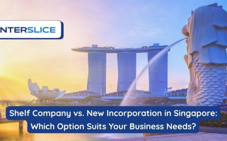 Shelf Company vs. New Incorporation in Singapore: What's Right for You?