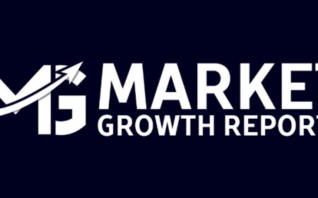 Stand Up Paddle Board Paddle Market: Size and Growth Opportunities | 2033