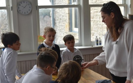 Discovering Orangeville Schools: Why The Maples School Stands Out