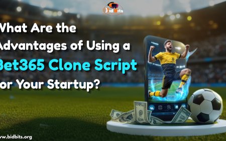 What Are the Advantages of Using a Bet365 Clone Script for Your Startup?
