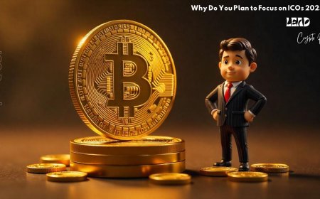 What is an ICO Development Program, and Why Do You Plan to Focus on ICOs in 2025?