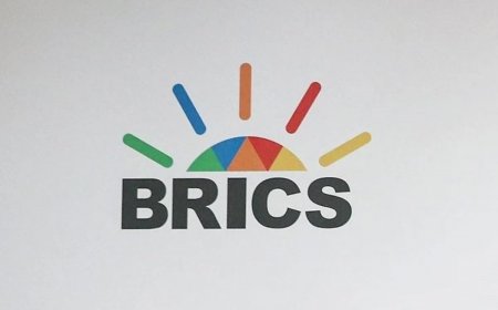 Building a Tariff-Resilient Procurement Operating Model: Key Changes CPOs Must Drive