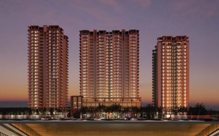 Why Renox Thrive Is Setting New Standards in Modern Living ?