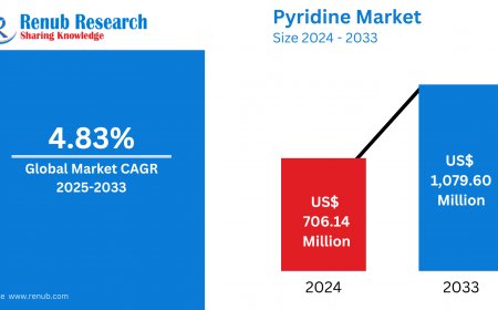 Pyridine Market Report 2025–2033: Trends, Forecasts, and Competitive Analysis