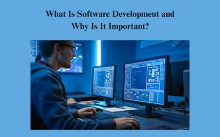 What Is Software Development and Why Is It Important?