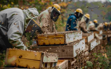 Beehive Monitoring Systems, Ant Prevention Tips, and the Future of Honey Bees