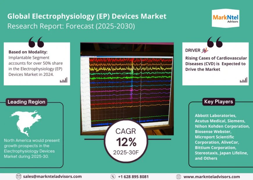 Electrophysiology (EP) Devices Market Outlook – Size, Share, Opportunities, Trends & Forecast Analysis