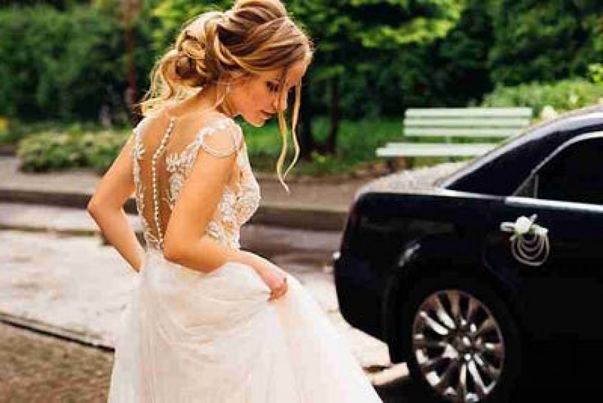 Wedding Transportation Service in Schaumburg