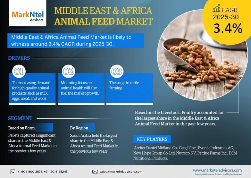 Middle East & Africa Animal Feed Market Intelligence: Trends, Players, and Forecasts 2030