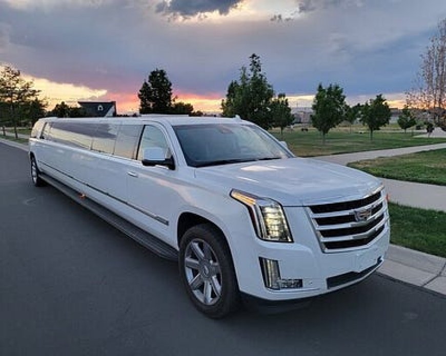 Wedding Transportation Service in Arlington Heights