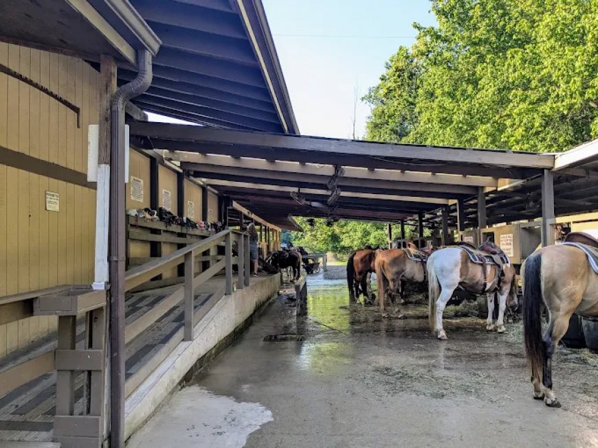 The Ultimate List of Attractions in Pigeon Forge, TN