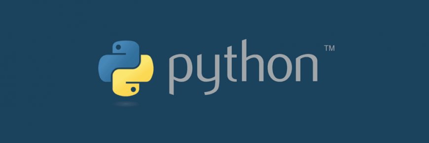 Why Python's the Best Choice for Beginners