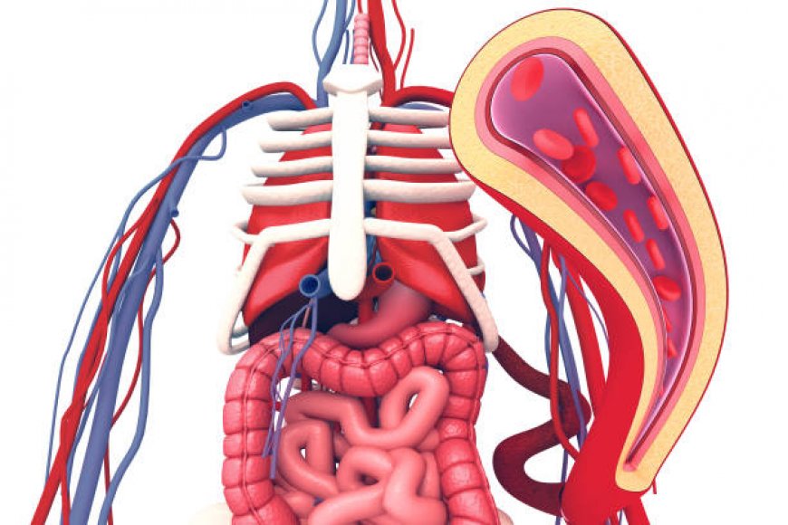 عملية بالون المعدة في الرياض: الخيار الأمثل لفقدان الوزن