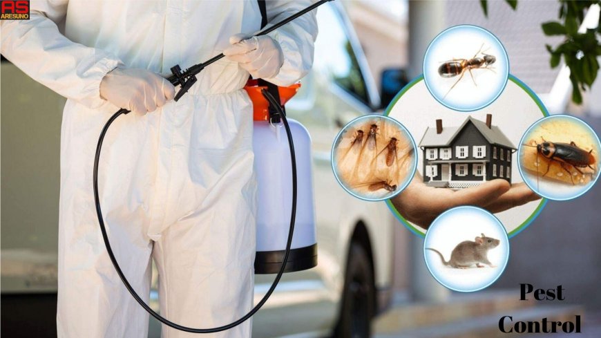 Who Handles Roaches in NYC Apartments? Tenant Rights, Landlord Duties, and What Happens When Neighbors Make It Worse