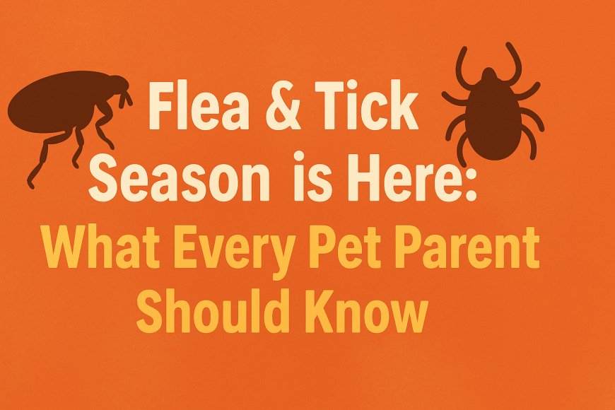 Flea & Tick Season is Here: What Every Pet Parent Should Know