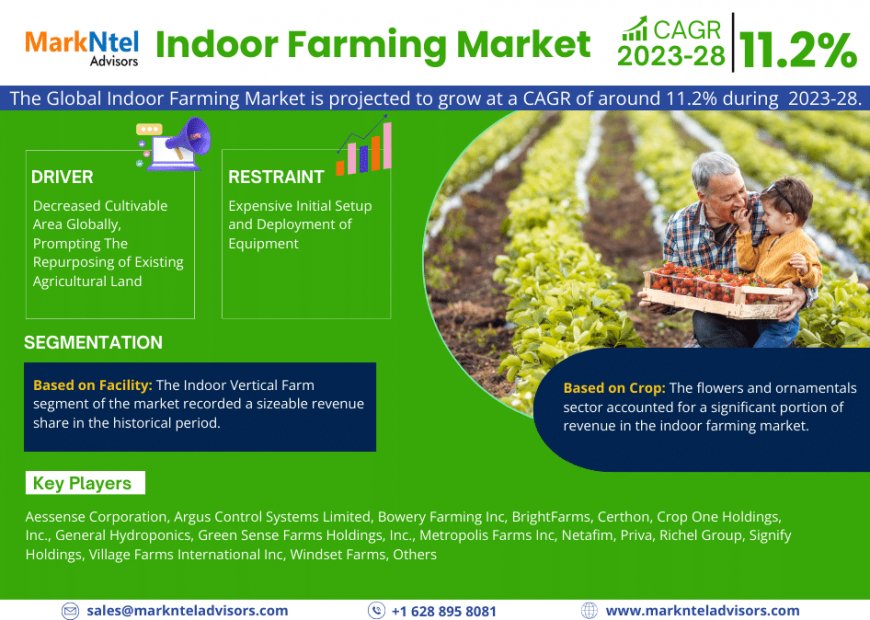 Indoor Farming Market to Register 11.2% CAGR Through 2028 | Key Drivers and Opportunities