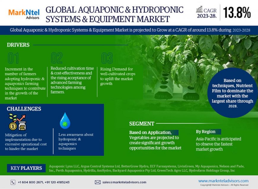 Global Aquaponic & Hydroponic Systems & Equipment Market to Soar at 13.8% CAGR Through 2028 | Trends, Drivers, and Forecast Analysis