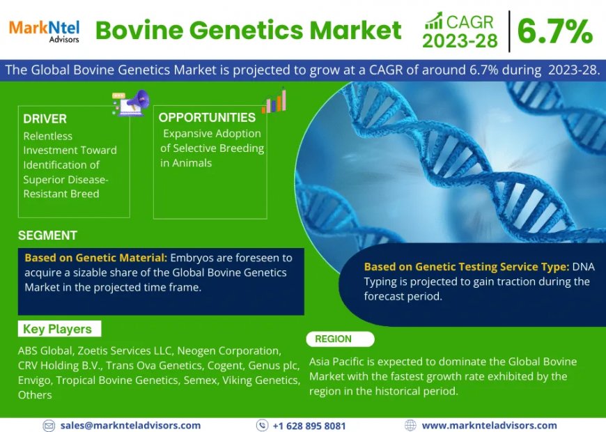 Global Bovine Genetics Market to Soar at 6.7% CAGR Through 2028 | Trends, Drivers, and Forecast Analysis