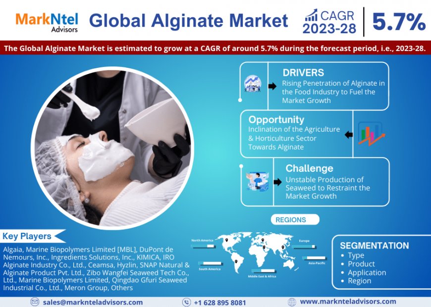 Global Alginate Market to Soar at 5.7% CAGR Through 2028 | Trends, Drivers, and Forecast Analysis