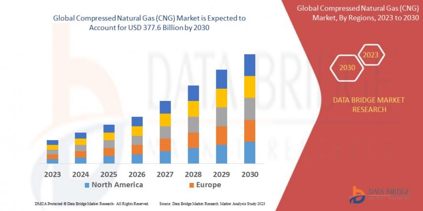 Compressed Natural Gas (CNG) Market Insights: Growth, Share, Value, Size, and Analysis