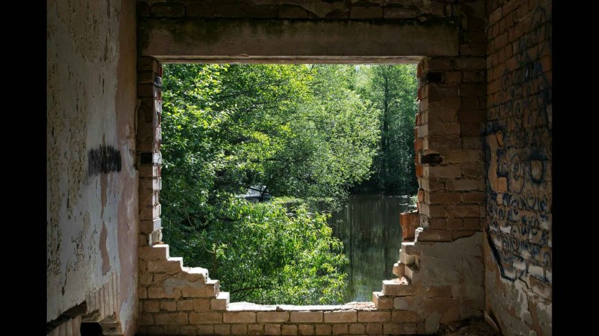 Navigating the Risks: What the 10-for-1 Deregulation Order Means for the Insurance Industry