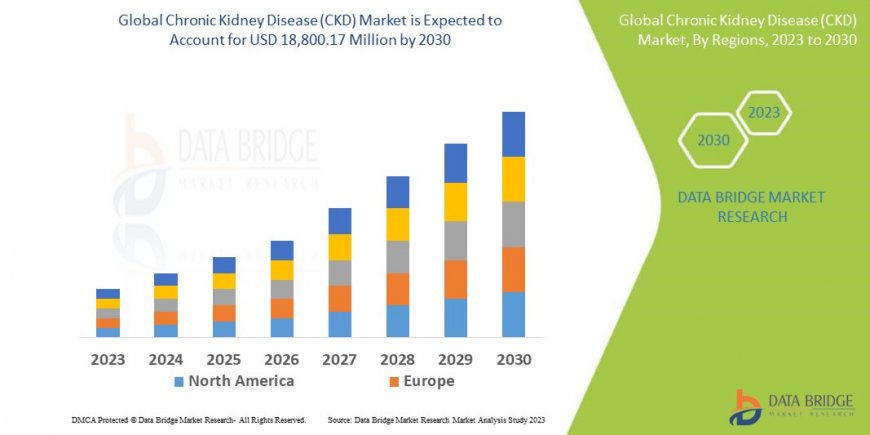 Exploring the Chronic Kidney Disease (CKD) Market: Trends, Challenges, and Opportunities in 2025 and Beyond