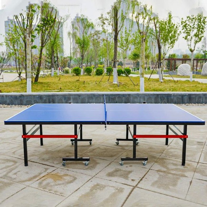 How do Esteemed Table Tennis Table Suppliers Operate?