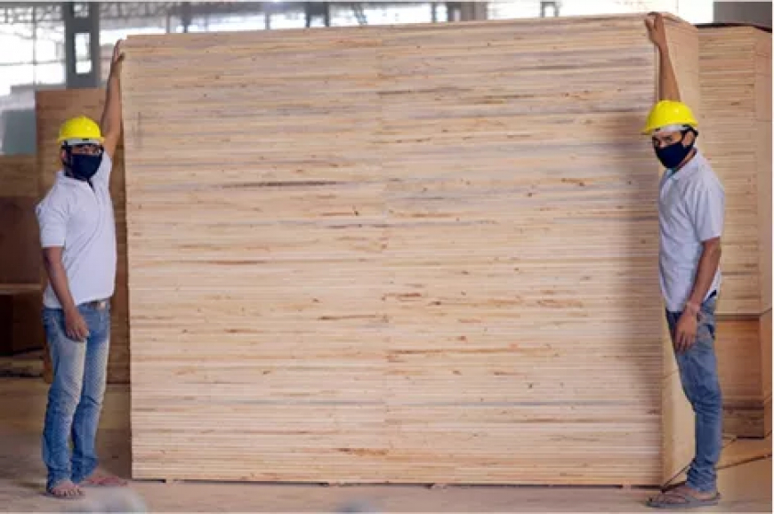 Understanding the Approaches of Top Plywood Yamunanagar Manufacturers