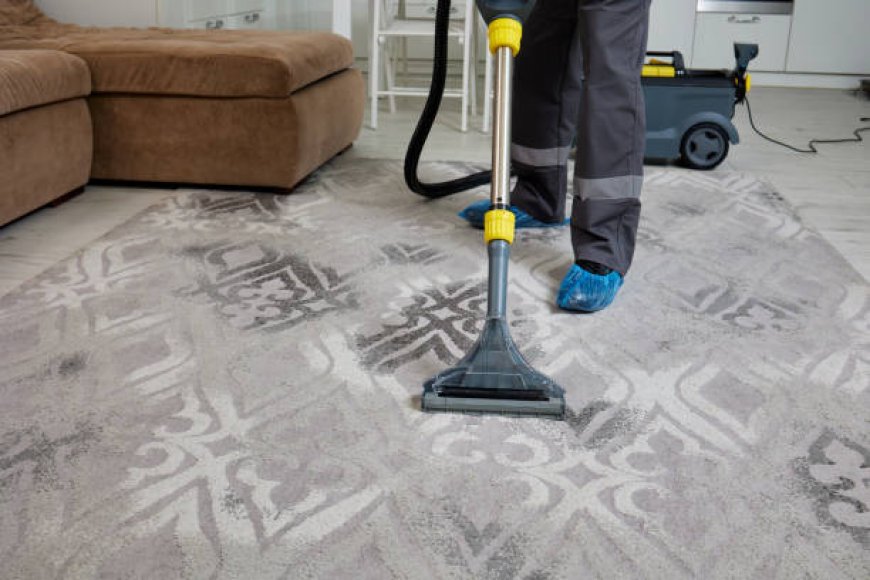 Why You Should Consider Professional Carpet Cleaning in Columbus, Georgia, USA for Your Home or Business