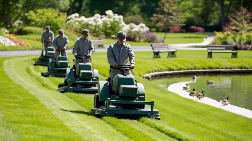 How Smart Landscaping Can Protect Your Home and the Environment