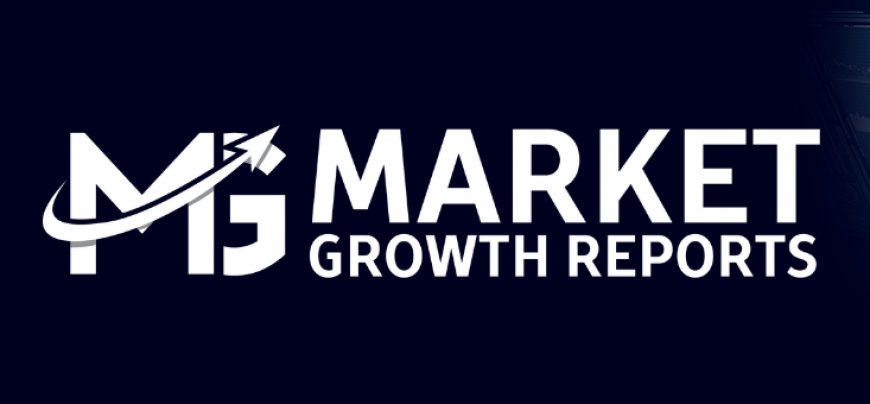 Pickleball Equipment Market Size, Share, Growth Drivers, and Forecast to 2033