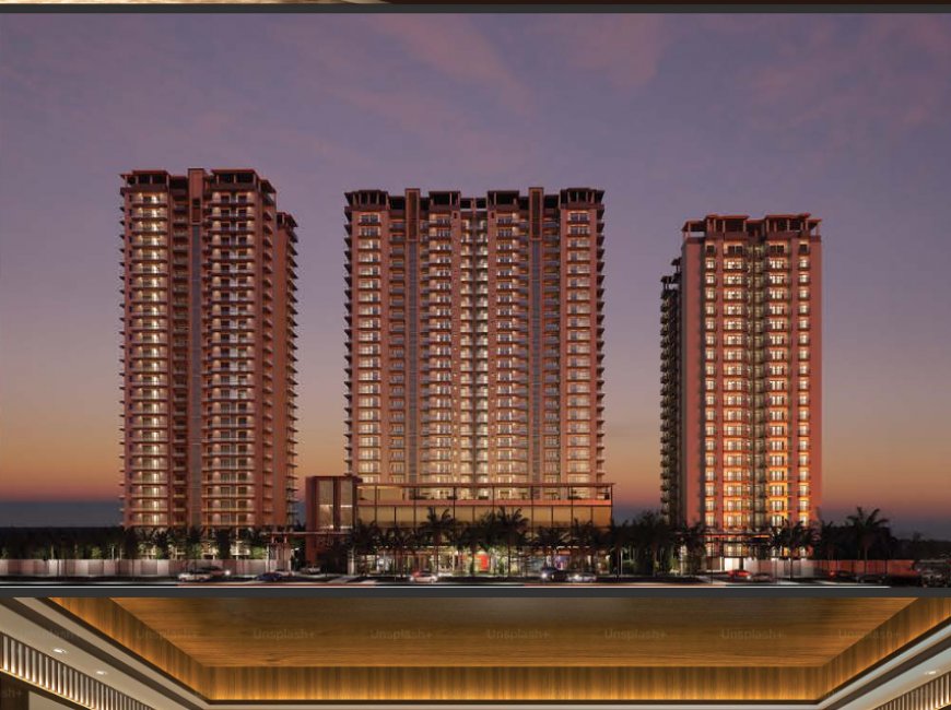 Why Renox Thrive Is Setting New Standards in Modern Living ?