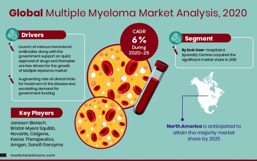 Multiple Myeloma Market Strategic Analysis: Growth Forecast and Competition 2025