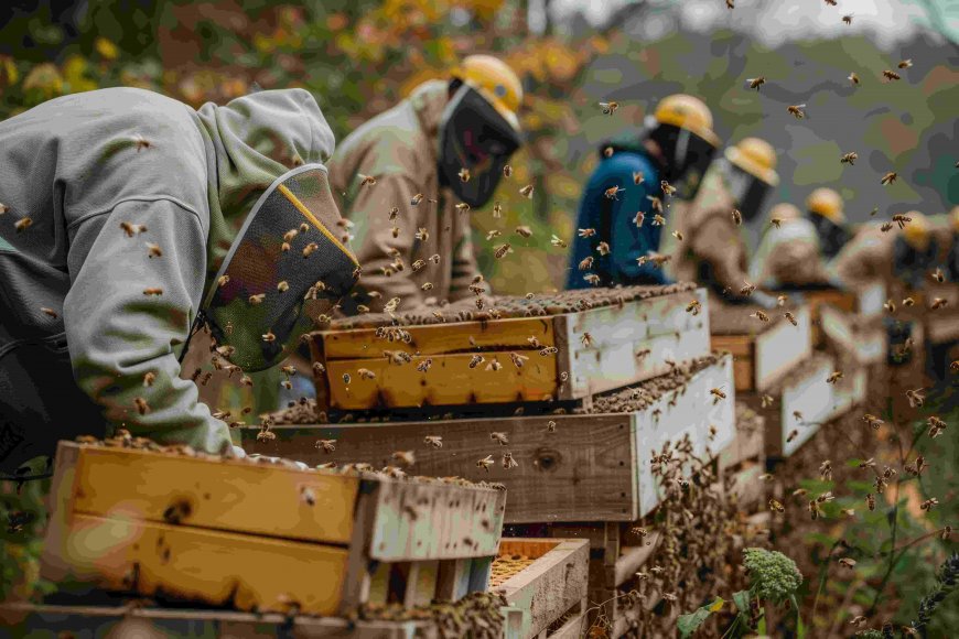 Beehive Monitoring Systems, Ant Prevention Tips, and the Future of Honey Bees