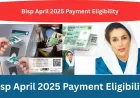BISP April 2025 Payment: Full Guide to Eligibility & Disbursement