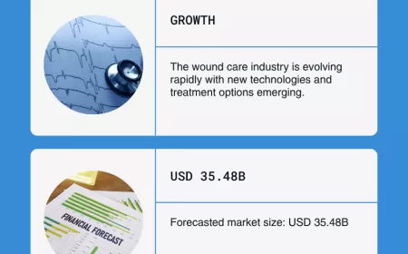 Wound Care Market Forecast and Competitive Strategies 2025-2033