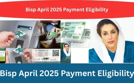 BISP April 2025 Payment: Full Guide to Eligibility & Disbursement