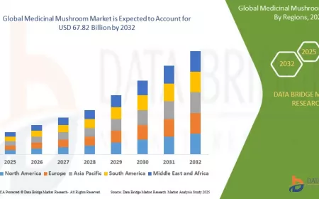 Medicinal Mushroom Market: Unlocking the Therapeutic Potential of Functional Fungi