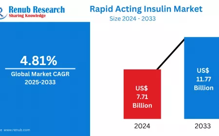 Rapid Acting Insulin Market Size, Forecast 2025-2033: A Comprehensive Industry Analysis