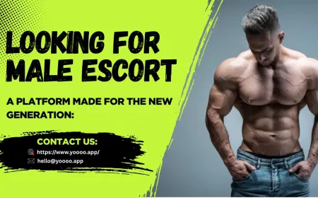 How To Join Call Boy Job in Delhi? A Step-by-Step Beginner’s Guide