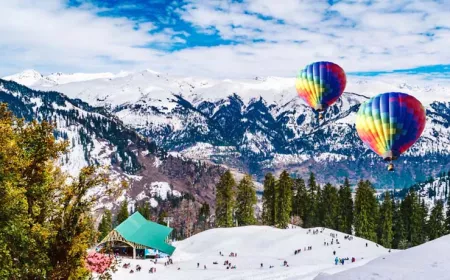 Explore the World with Ease: Why Suvdiha Travels is the Go-To Travel Agency in Patna